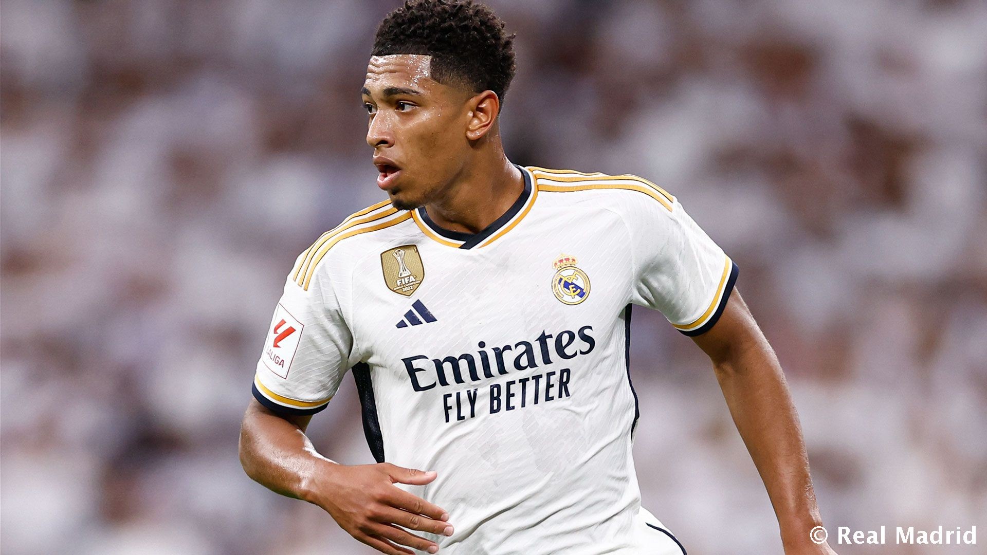 非常赞！克尼佩尔已11次单场拿到20+得分&本届新秀中最多（太强了！克尼佩尔已11场砍下20+，领跑本届新秀）